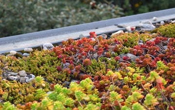the cost of Craigerne green roof installation