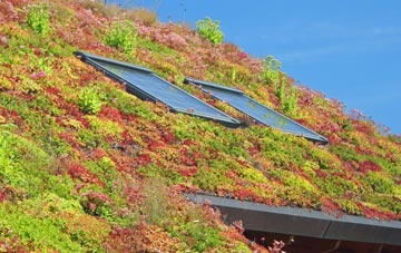 Craigerne living roof systems