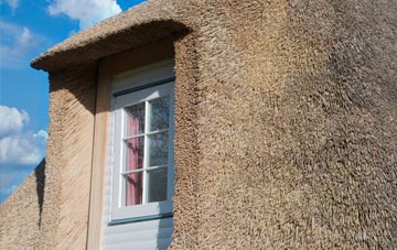 Craigerne thatch roof disadvantages